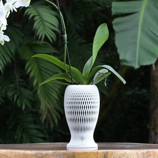 Pesce Orchid Pot