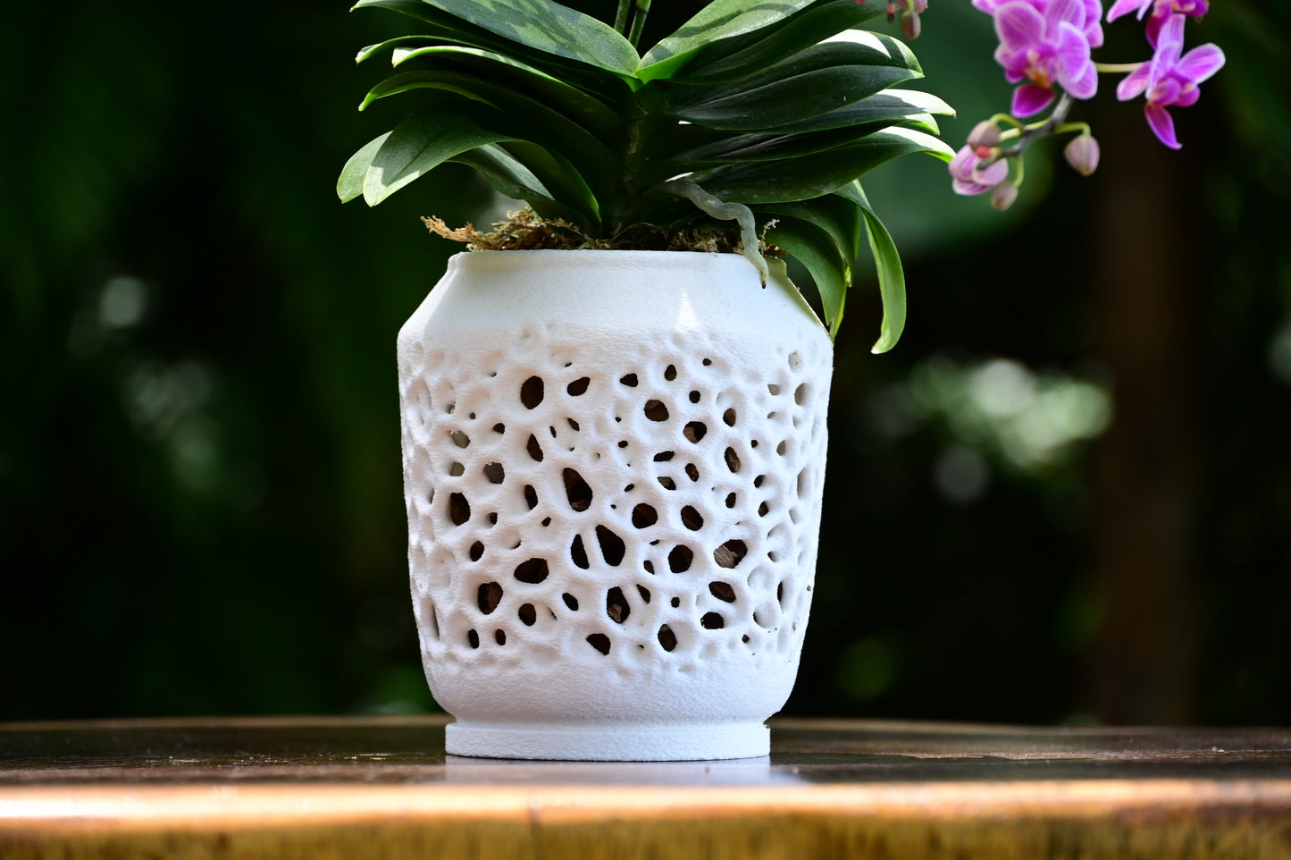 Kyo Orchid Pot