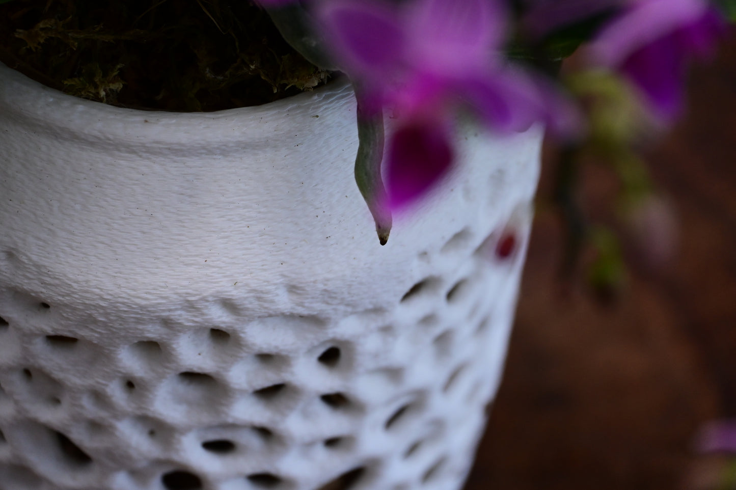 Kyo Orchid Pot