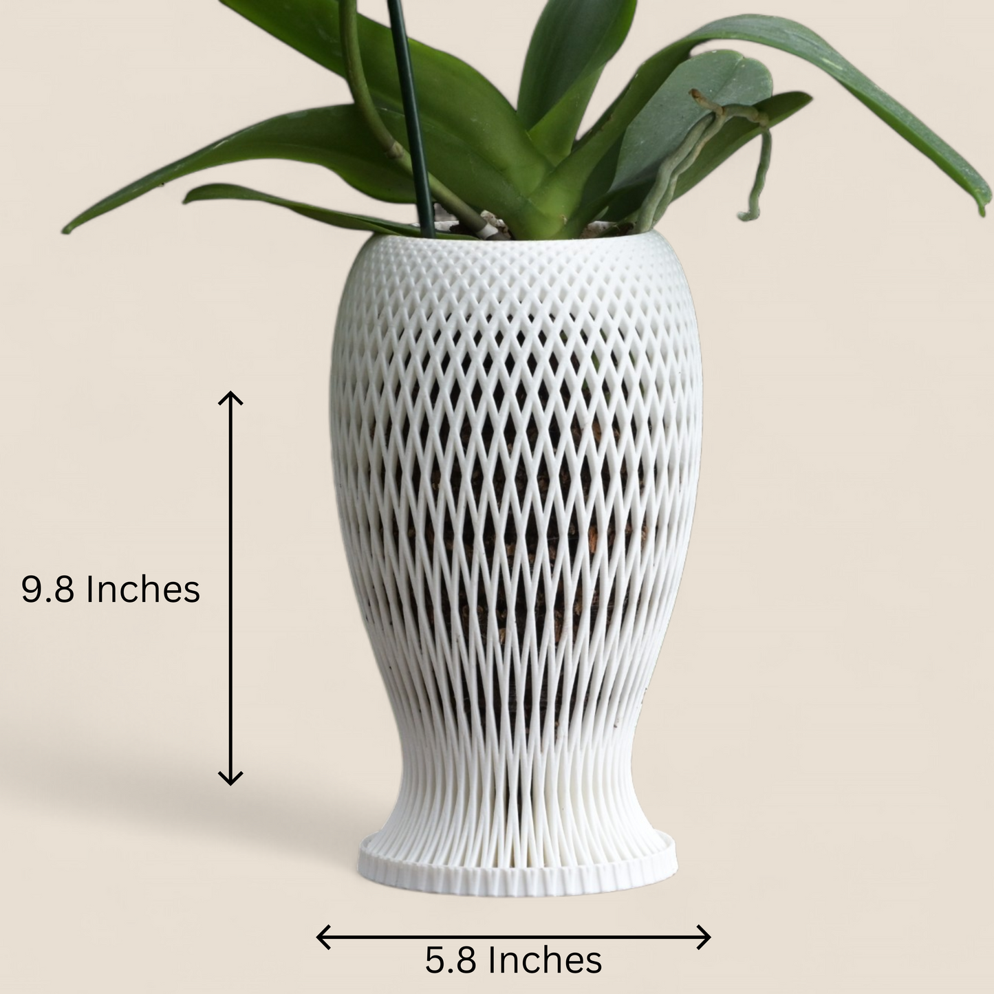 Pesce Orchid Pot