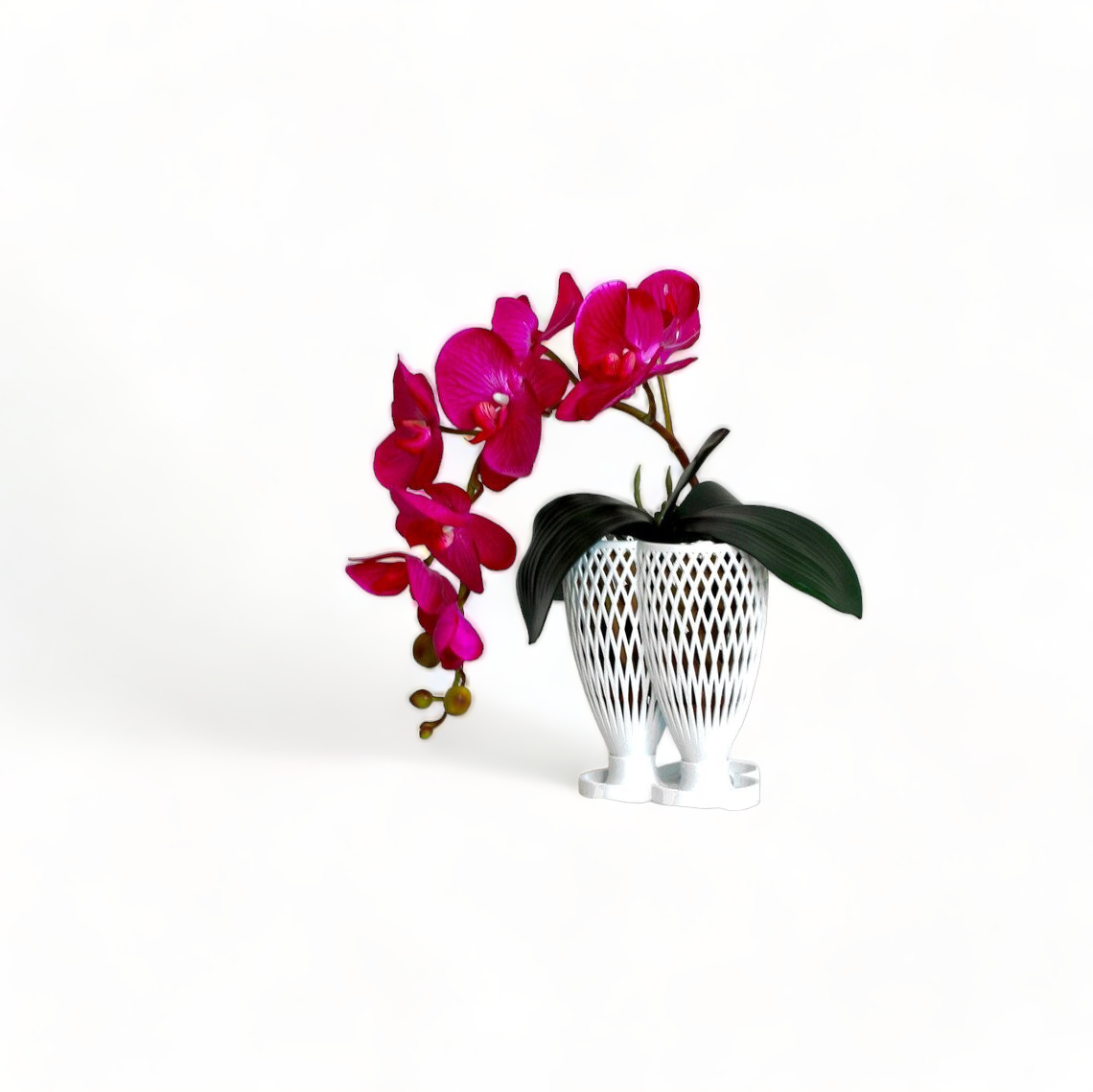 Set of 3 Eve Hanging Orchid Planter