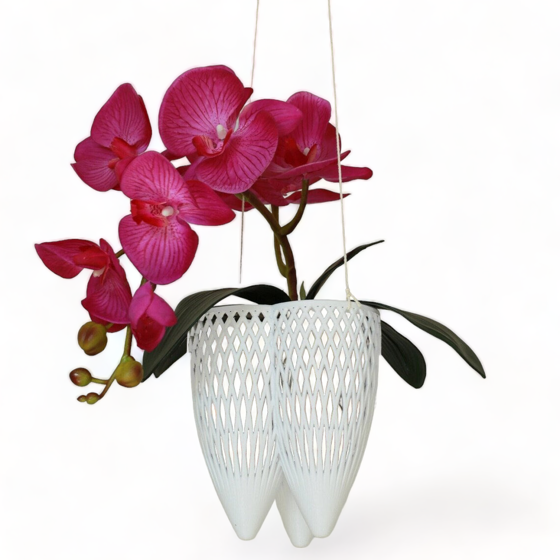 Set of 3 Eve Hanging Orchid Planter