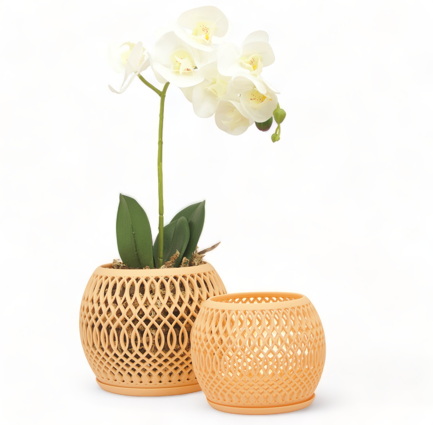Bomi Orchid Pot and Drainage Tray