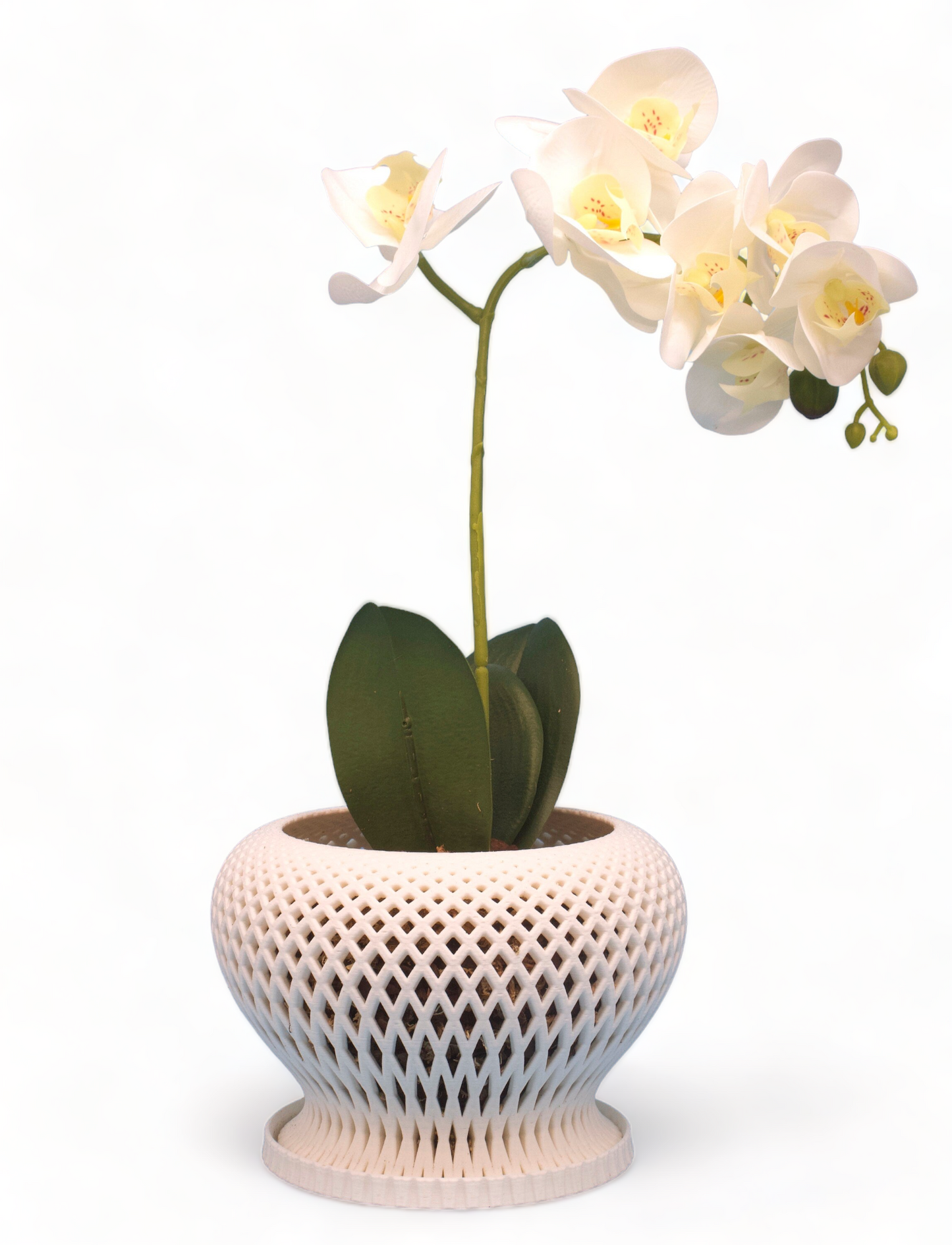 Set of 3: Casa Orchid Planter