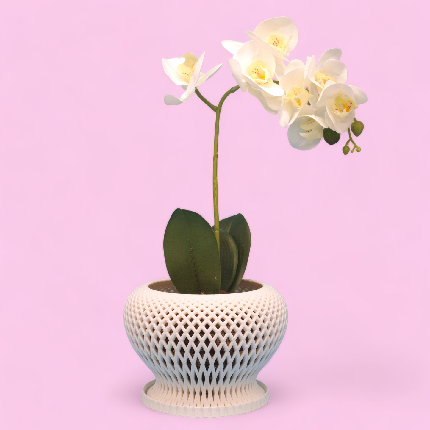 Set of 3: Casa Orchid Planter