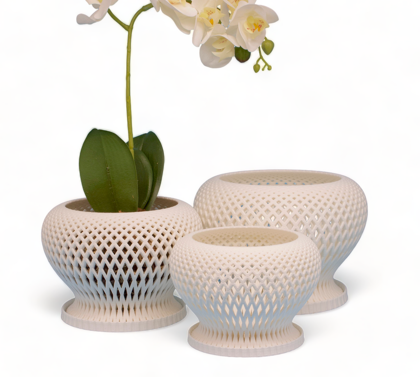 Set of 3: Casa Orchid Planter