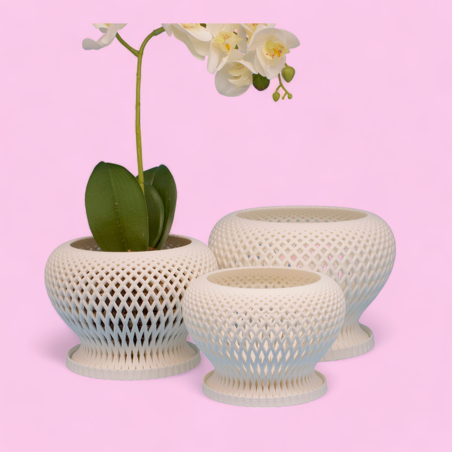 Set of 3: Casa Orchid Planter