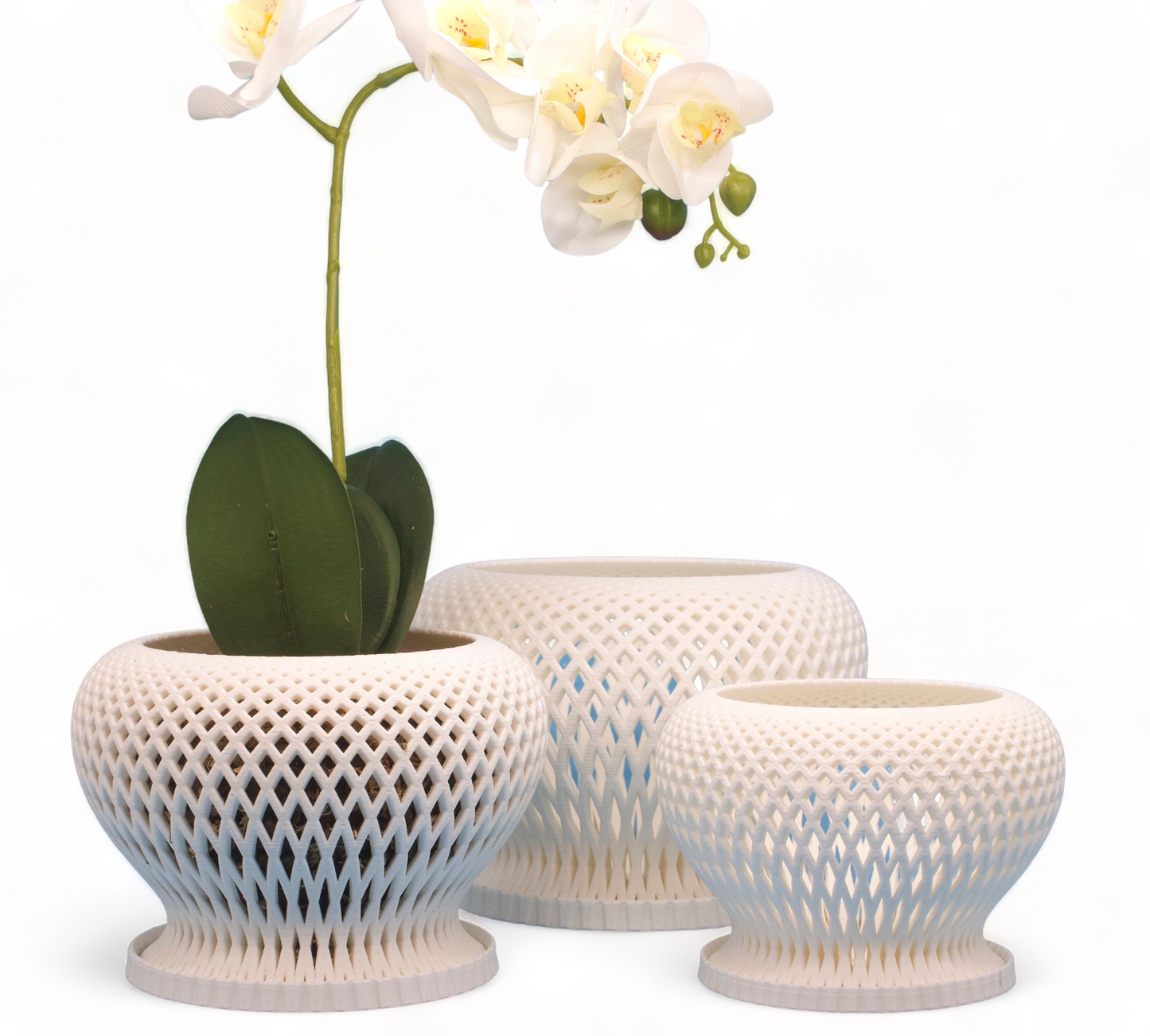 Set of 3: Casa Orchid Planter