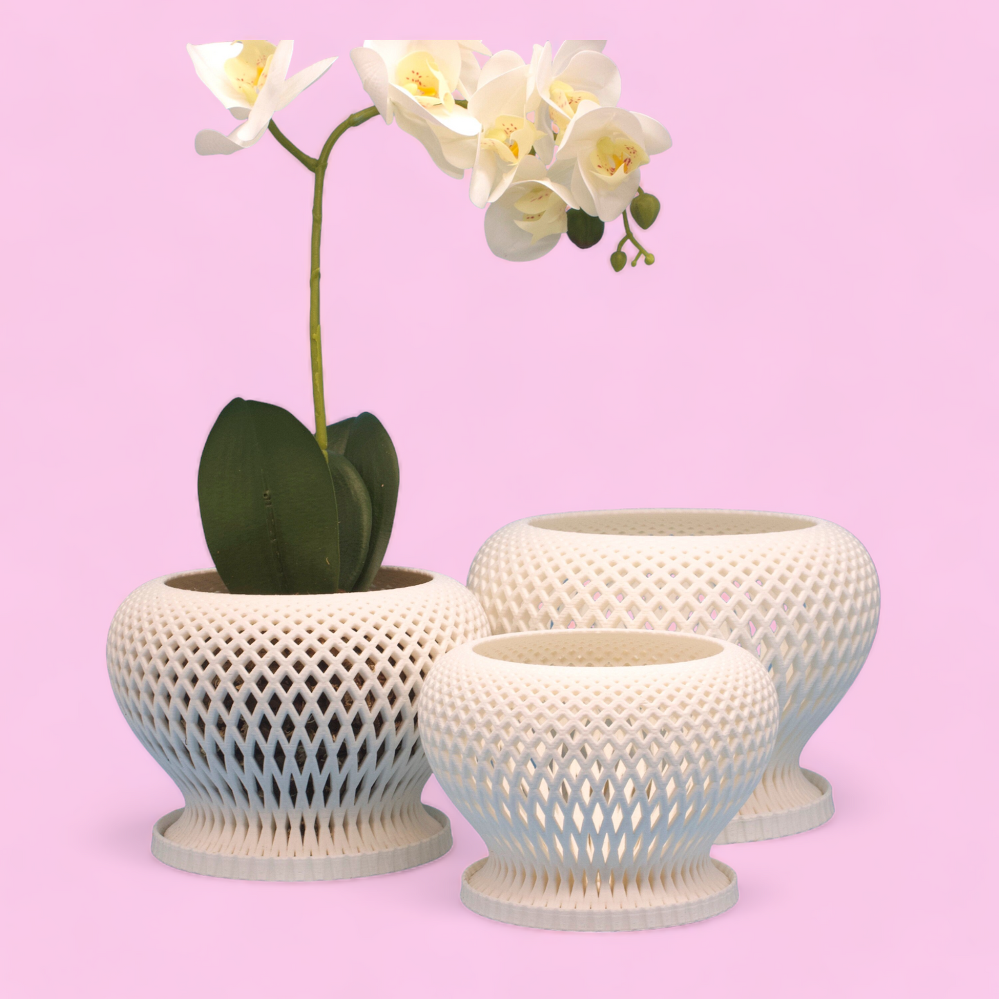 Set of 3: Casa Orchid Planter