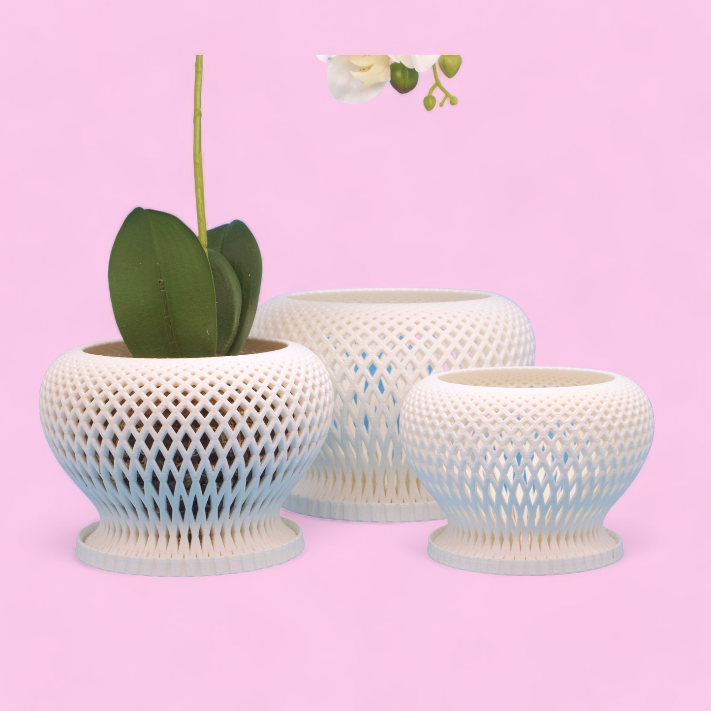 Set of 3: Casa Orchid Planter